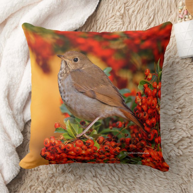 Hermit Thrush Songbird on the Scarlet Firethorn Cushion (Blanket)