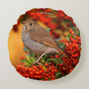 Hermit Thrush Songbird on the Scarlet Firethorn Round Cushion