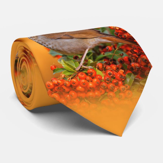 Hermit Thrush Songbird on the Scarlet Firethorn Tie (Rolled)