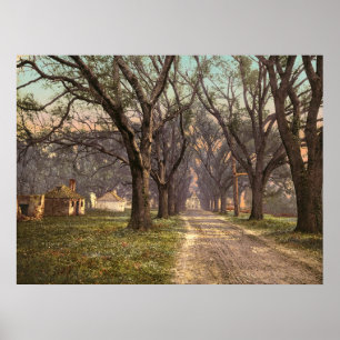 Hermitage plantation Savannah Georgia Poster