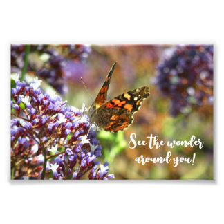 Hermosa Mariposa polinizando flores Photo Print