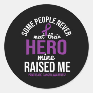 Hero Raised Me Pancreatic Cancer Awareness Pancrea Classic Round Sticker