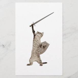 Heroic Warrior Knight Cat