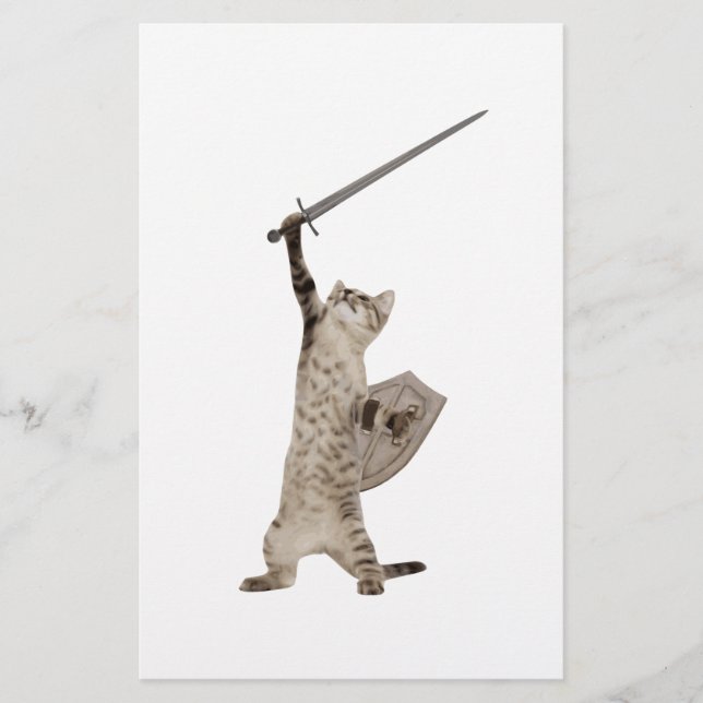 Heroic Warrior Knight Cat (Front)