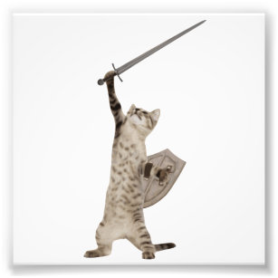 Heroic Warrior Knight Cat Photo Print