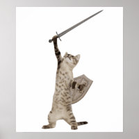 Heroic Warrior Knight Cat