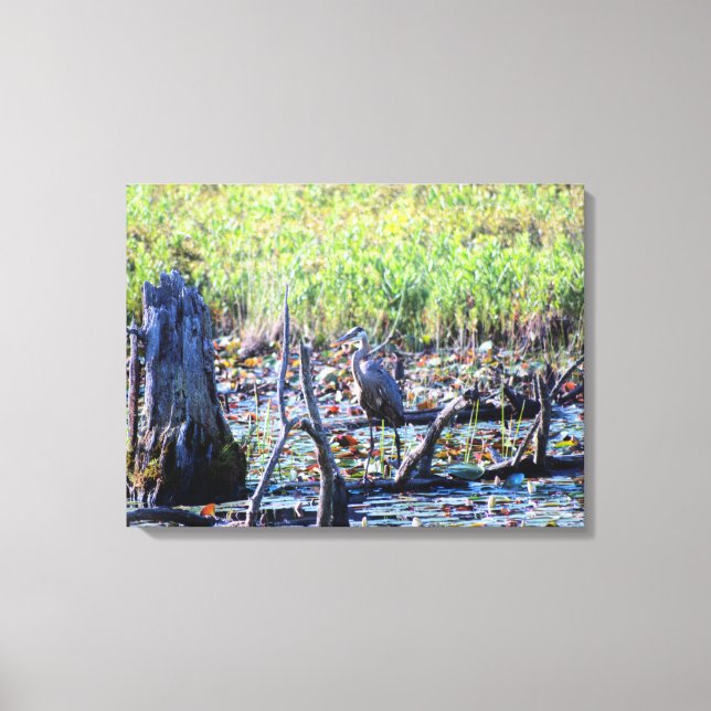 Heron 6467 canvas print (Front)