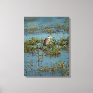 Heron 6937 canvas print