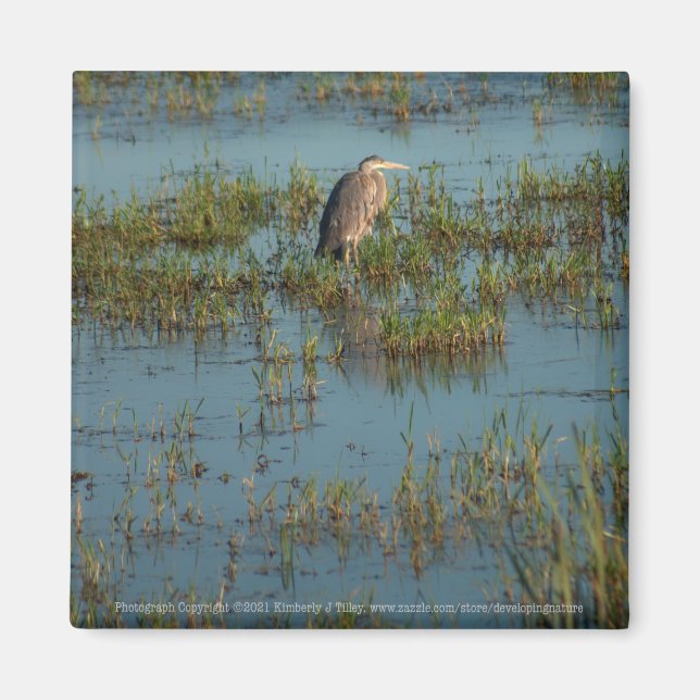 Heron 6937 magnet (Front)