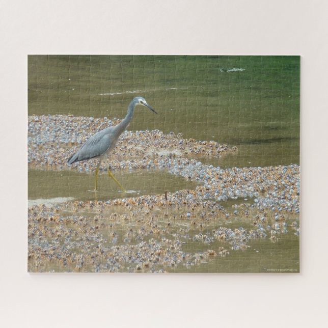 Heron and baby crabs tricky jigsaw puzzle (Horizontal)