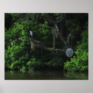 Heron and Lazy River Poster Print