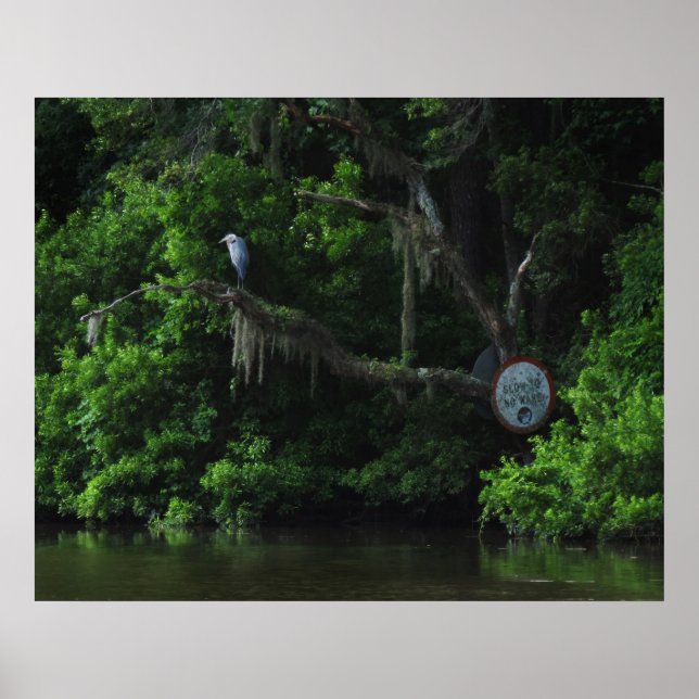 Heron  and Lazy River Poster Print (Front)