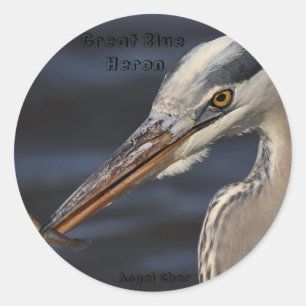 Heron And Minnow By Angel Cher, Great Blue Hero... Classic Round Sticker