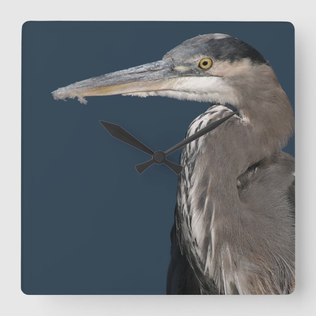 Heron Birds Wildlife Animals Square Wall Clock (Front)