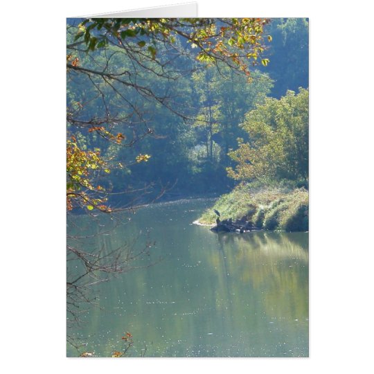 Heron by the River Card
