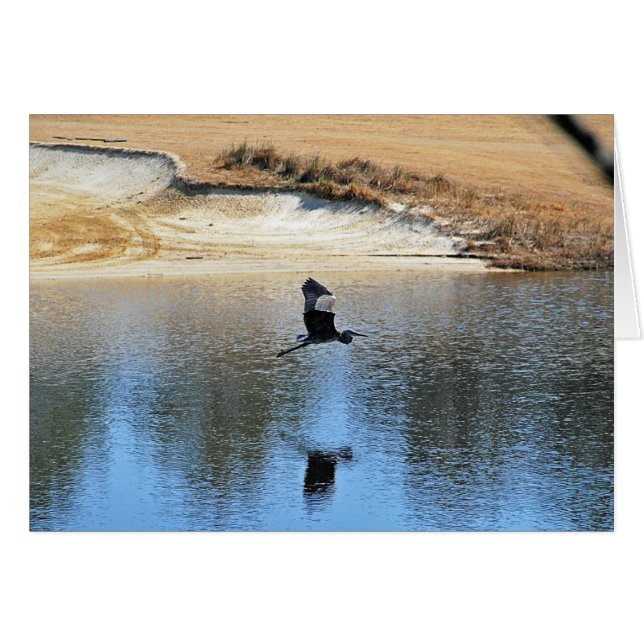 Heron Enjoying the Golf Course (Front Horizontal)