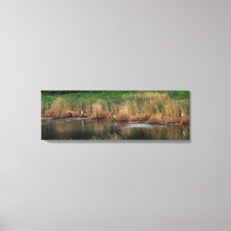 Heron Family - left side Canvas Print