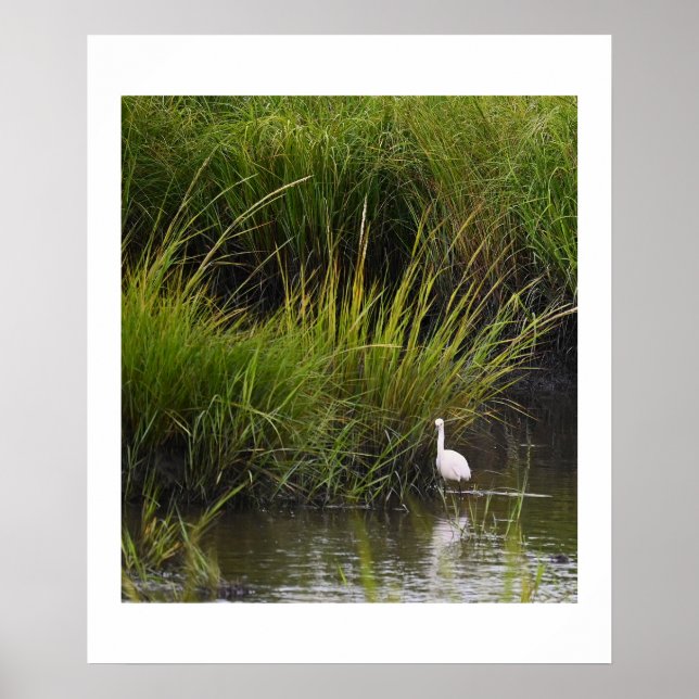 Heron in the Marsh Poster (Front)