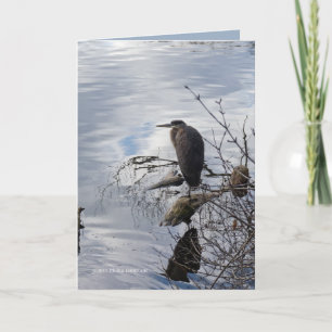 Heron in the Mirror Card