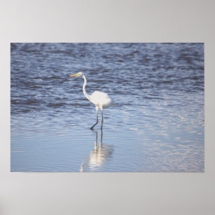 Heron in the Water Poster