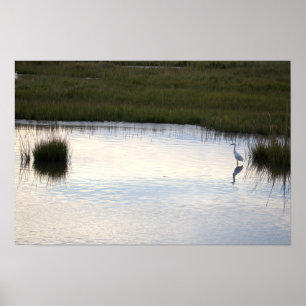 Heron in Water Poster