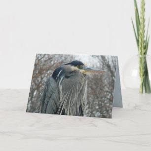 Heron in Winter Card