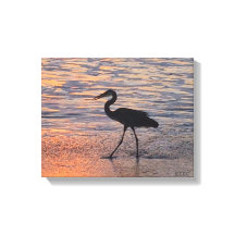 Heron on early morning walk