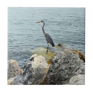 Heron On Rocks At The Beach Tile