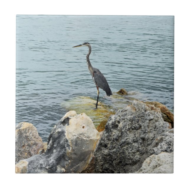Heron On Rocks At The Beach Tile (Front)