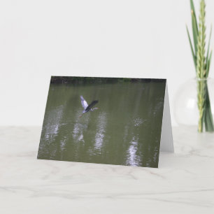 Heron Over Quiet Waters Greeting Card