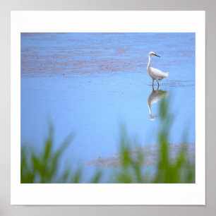 Heron Photo Poster
