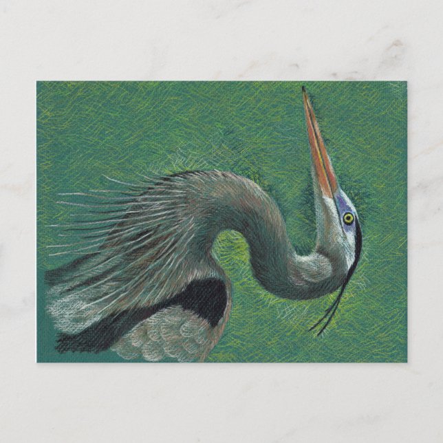 Heron Postcard (Front)