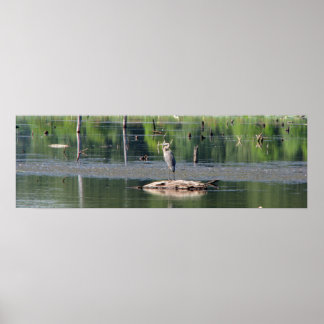 Heron Poster