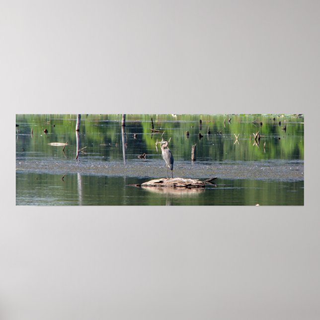 Heron Poster (Front)