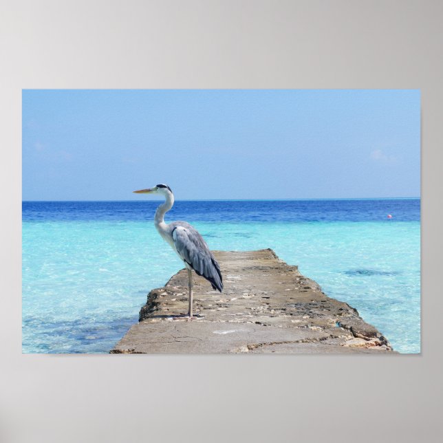 Heron Sea Bird Poster (Front)