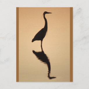 Heron Silhouette Postcard