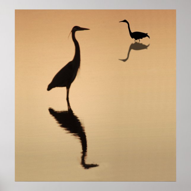 Heron Silouette Poster (Front)