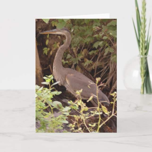 Heron sitting under a tree by the River Card (Front)
