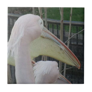 Heron Small (4.25" x 4.25") Ceramic Photo Tile