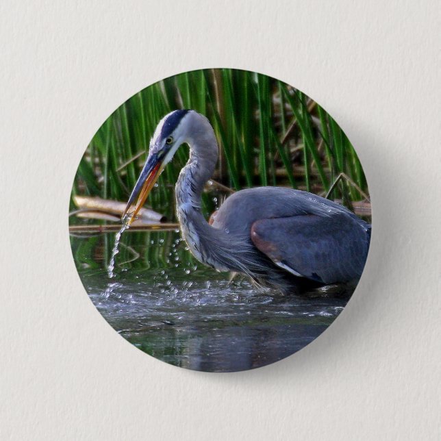 Heron Splash 6 Cm Round Badge (Front)