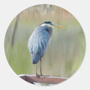 heron sticker