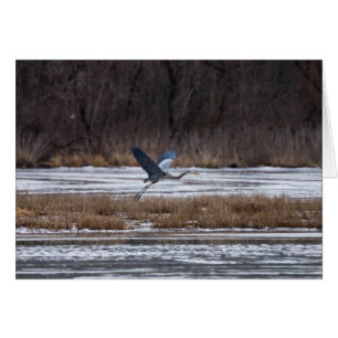 Heron Take Off