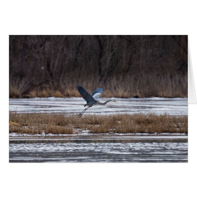 Heron Take Off (Front Horizontal)