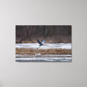 Heron Take Off Canvas Print