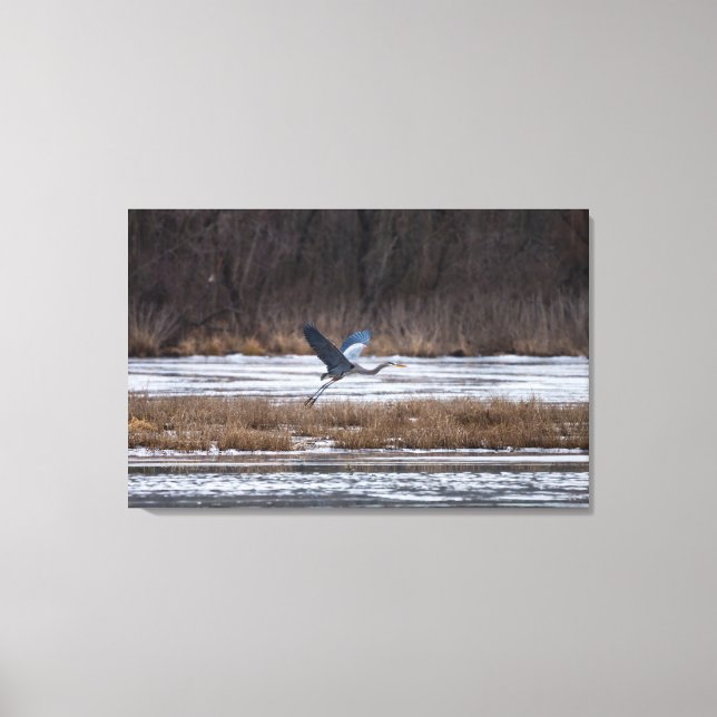 Heron Take Off Canvas Print (Front)