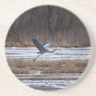 Heron Take Off Coaster