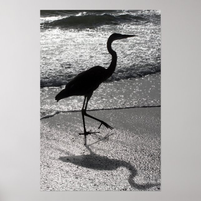 Heron Walking on Shore Poster (Front)