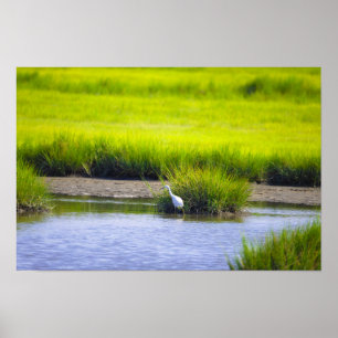 Heron Waterscape Poster
