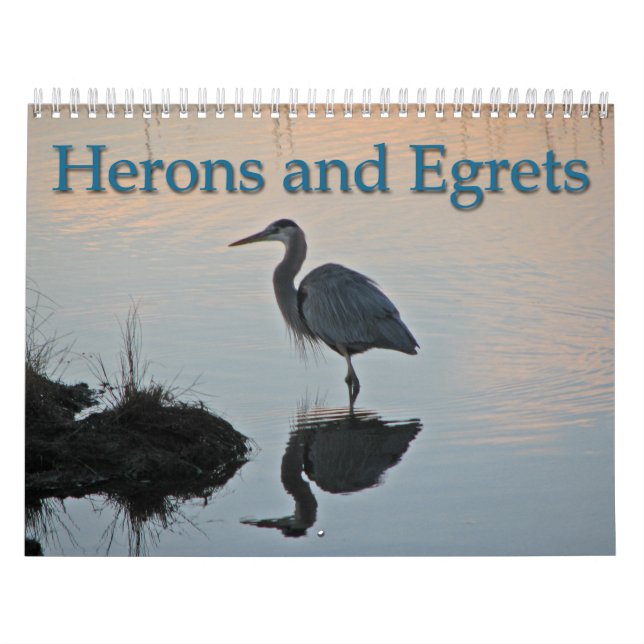 Herons and Egrets Calendar (Cover)