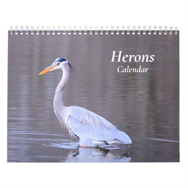 Herons Calendar (Cover)